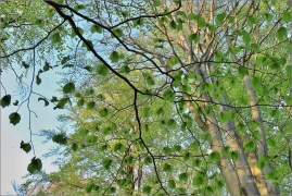 <p>Šluknovsko - Knížecí</p>